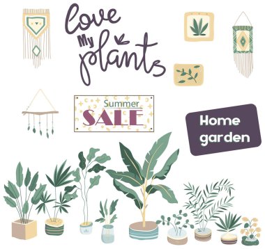 Ev bitkileri. Saksı izole nesneler, houseplant saksı koleksiyonu. Ev bahçe klip resim illüstrasyon. Renkli tasarım. Afiş, invete, satış mağazası, web simgesi için. Elle çizilmiş kart