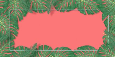 Tropikal palmiye mercan zemin üzerinde çerçeve bırakır. Yaz tropikal yaprağı. Egzotik Hawaii ormanı, yaz lık geçmişi. Pastel tek renkli sanat renkli minimal tarzı, Beyaz çerçeve kare. Metin için banner