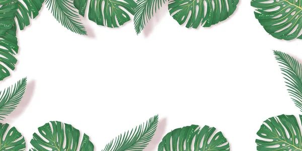 Tropical palm leaves frame on white backdrop. Summer tropical leaf. Exotic hawaiian jungle, summertime background. Pastel monochrome art colorful minimal style, White frame square. Banner for text