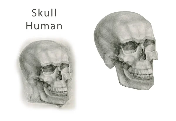 Kolekcja ręcznie rysowane czaszki w trybie monochromatycznym. Skulls geometryczne ilustracje. Na białym tle — Zdjęcie stockowe