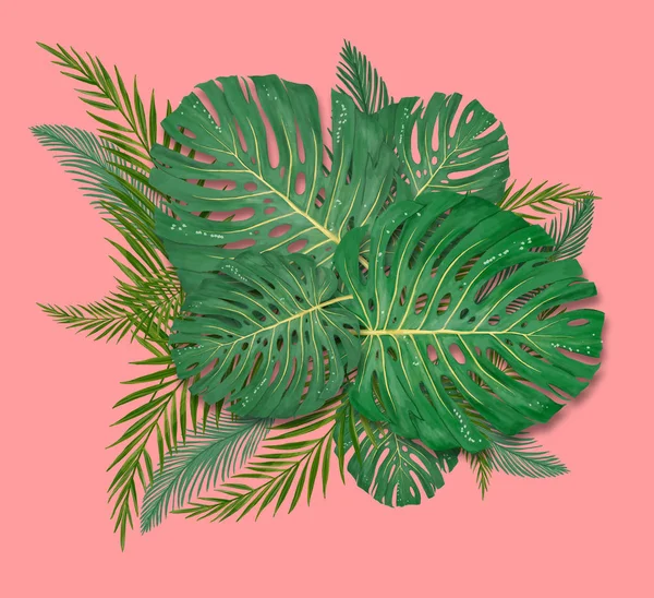 Tropikal palmiye mercan zemin üzerinde çerçeve bırakır. Yaz tropikal yaprağı. Egzotik Hawaii ormanı, yaz lık geçmişi. Pastel tek renkli sanat renkli minimal tarzı, Beyaz çerçeve kare. Metin için banner — Stok fotoğraf