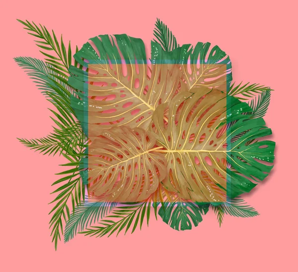 Tropical palm leaves frame on coral backdrop. Summer tropical leaf. Exotic hawaiian jungle, summertime background. Pastel monochrome art colorful minimal style, White frame square. Banner for text