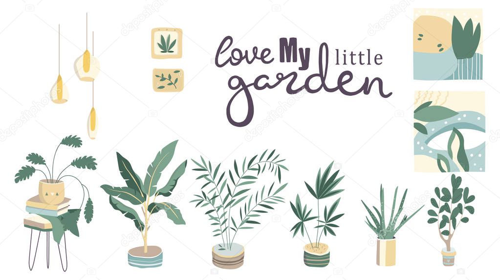 Collection of decorative houseplants isolated on white background. Bundle of trendy plants growing in pots or planters. Set of beautiful natural home decorations. Flat colorful vector illustration