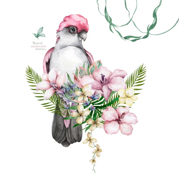 Krásná Květinová Exotická Ilustrace Papouškem Tropickými Listy Ibiškem Izolováno Bílém — Stock fotografie