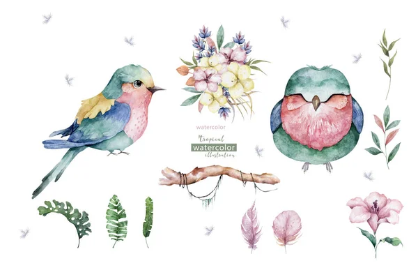 Krásná Květinová Exotická Ilustrace Papouškem Tropickými Listy Ibiškem Izolováno Bílém — Stock fotografie