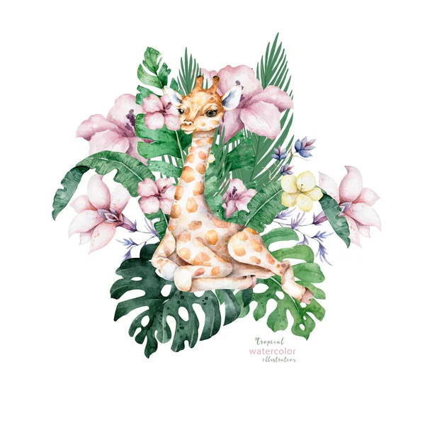 Poster with giraffe. Watercolor cartoon isolated giraffe tropical animal illustration. Jungle exotic summer design