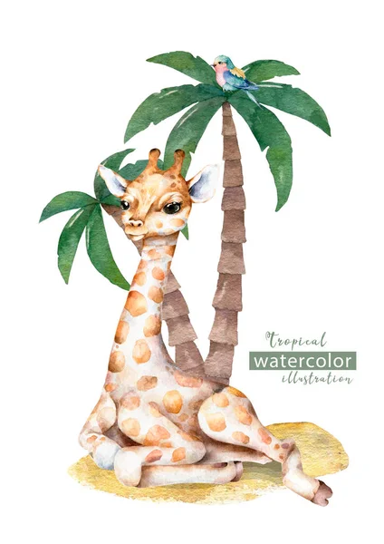 有长颈鹿的海报水彩画孤立长颈鹿热带动物图解 充满异国情调的夏季设计 — 图库照片