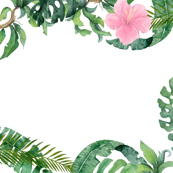 オウム 熱帯の葉 ハイビスカスと美しい花のエキゾチックなイラスト 白地に隔離された — ストック写真