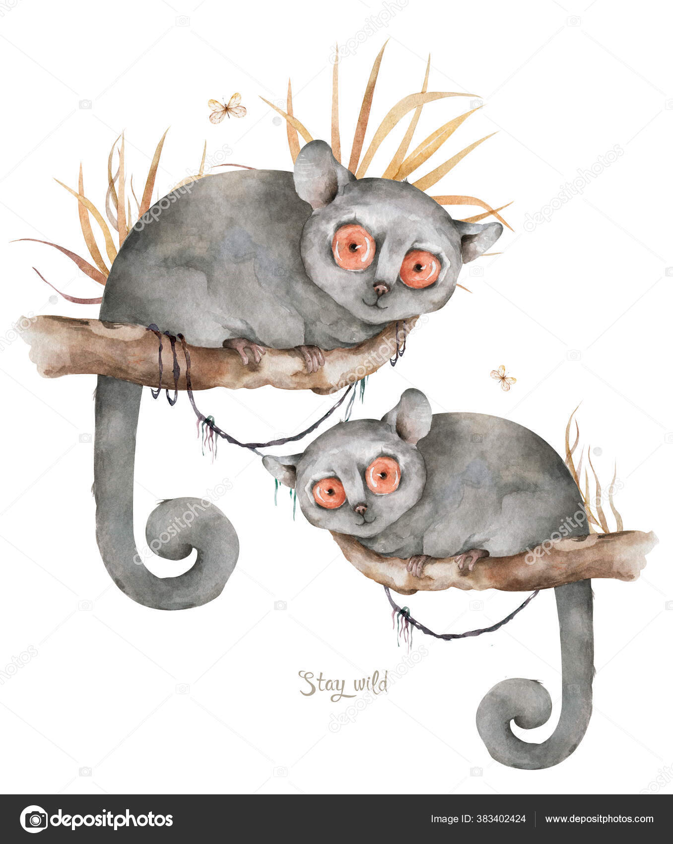 Baby Mouse Lemur Hand Drawn Cute Watercolor Cartoon Mouse Lemur On Tree With Jungle Leaves On White Background Stock Photo Image By C Arthouze Baby Mouse Lemur Hand Drawn Cute Watercolor Cartoon Mouse Lemur On Tree With Jungle Leaves On White Background Stock Photo Image By C Arthouze