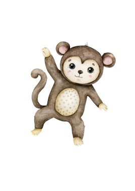 Maymunlar hindistan cevizi ağacına tırmanıyor. Bir maymun hindistan cevizini koparıyor..