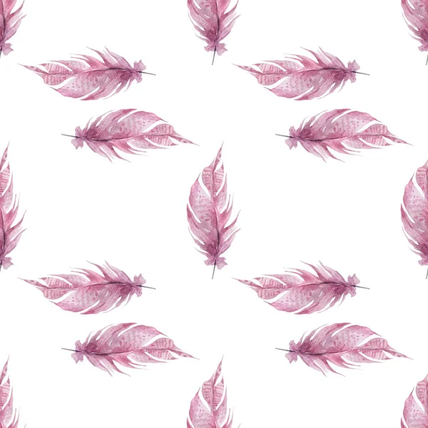 Plumes Roses Sur Fond Blanc Illustration — Photo