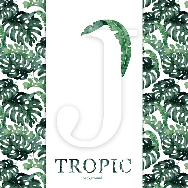 Bela Ilustração Floral Exótica Com Papagaio Folhas Tropicais Hibisco Isolado — Fotografia de Stock
