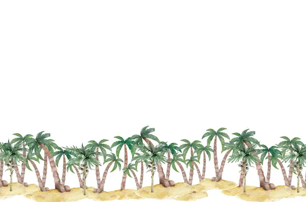 Exotiskt Tropiskt Palmträd Ram Gräns Bakgrund Sommarillustration Mall För Kort — Stockfoto