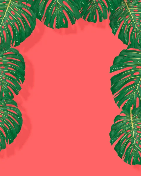 Tropiska Blad Monstera Och Philodendron Rosa Färg Bakgrund Sommar — Stockfoto