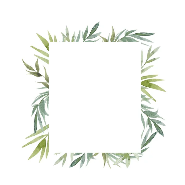 Disegno Carta Verde Floreale Foglia Felce Foresta Ramo Eucalipto Foglie — Foto Stock