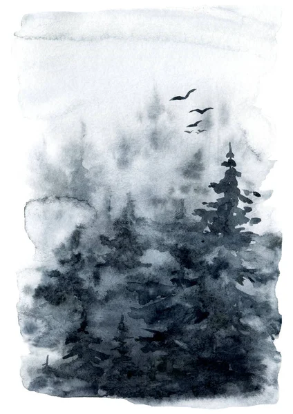 Legname Conifere Selvatico Una Nebbia Del Mattino — Foto Stock