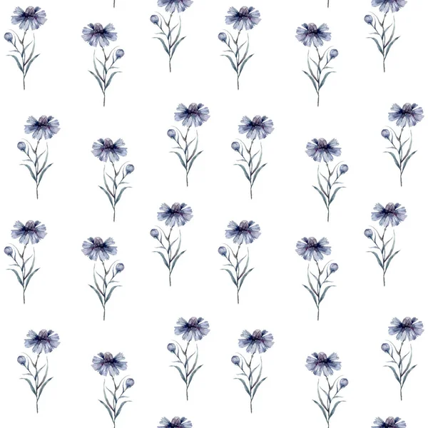 Μοτίβο Καλαμποκιού Χωρίς Ραφή Αξιολάτρευτο Μπλε Λουλούδι Ακουαρέλα — Φωτογραφία Αρχείου