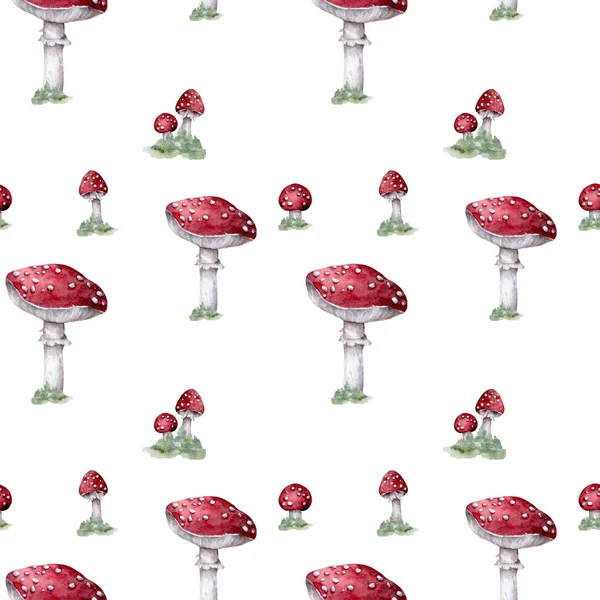 Amanita Muscaria Cogumelo Agárico Voador Branco Manchado Belos Cogumelos Vermelhos — Fotografia de Stock