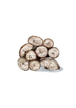 Ormancılık ve kereste endüstrisi için odun seti. Sandıkların, kütüklerin ve kalasların çizimi.