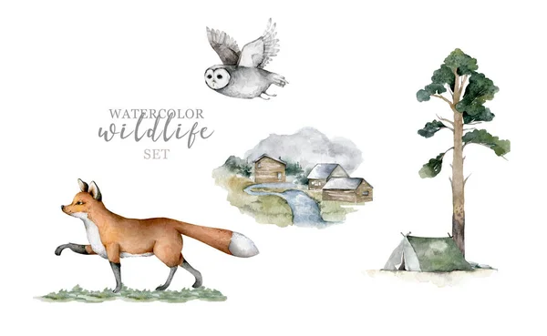 Forest animals. Realistic winter cute walking wildlife fox, owl and landscape with tent isolated illustration on white background. Vilage with wildlife. Predator, Farm — Stock Photo, Image