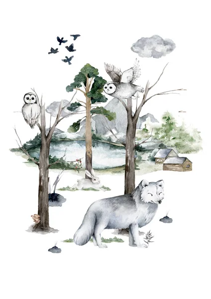 Mão desenhada aquarela lobo branco realista. Ilustração de animais selvagens na floresta — Fotografia de Stock