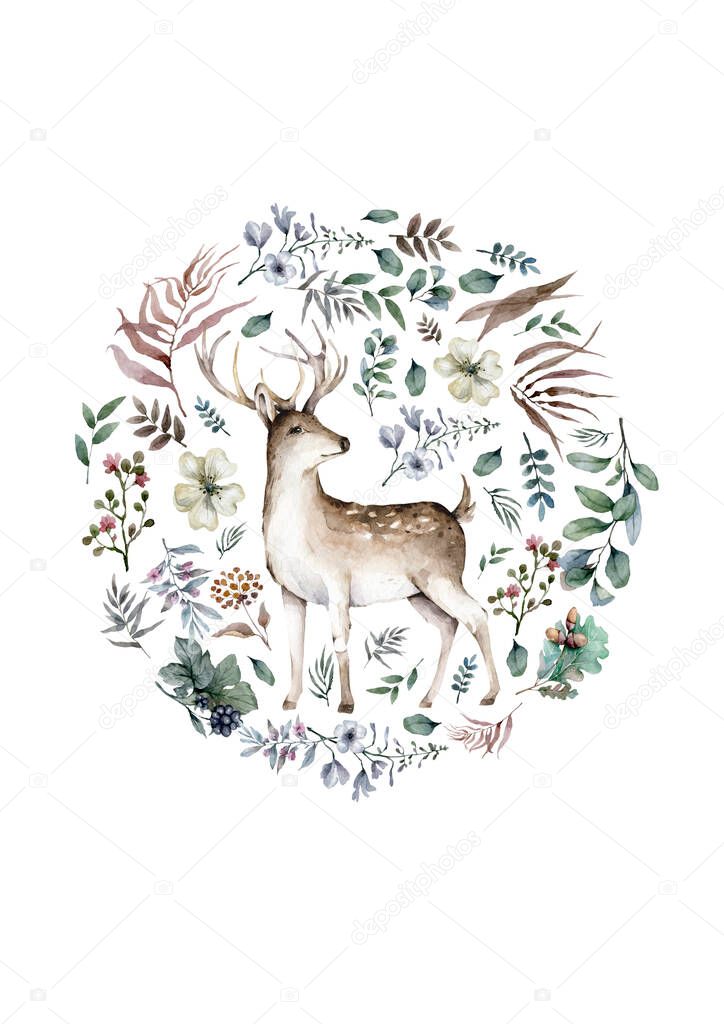 A set of deer for your design. Deer, sika deer and reindeer. illustration, isolation objects.