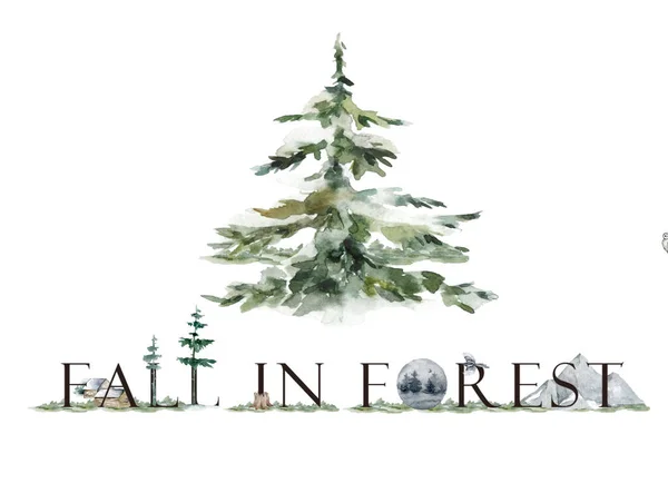 Beyaz Arka Planda Izole Edilmiş Yeşil Mavi Noel Çam Ağaçları — Stok fotoğraf