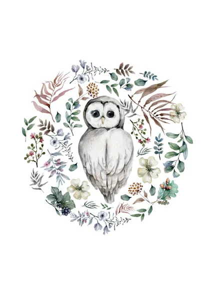 Image Graphique Réaliste Hibou Illustration — Photo