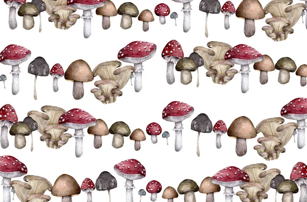 Fondo de setas forestales dibujadas a mano de amanita con caracoles y orugas sobre fondo blanco — Foto de Stock