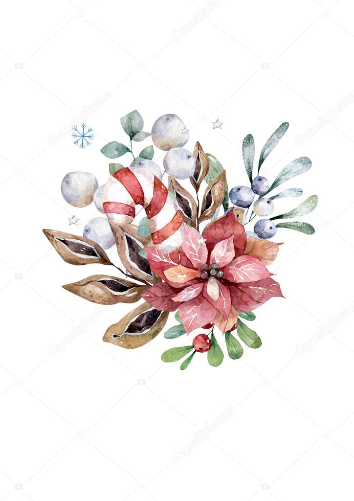 Christmas floral bouquet with poinsettia and fir branches. Illustration.
