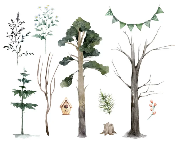Typy Drzew Zielony Las Sosna Drzewa Kolekcja Jodła Palma Brzoza — Zdjęcie stockowe