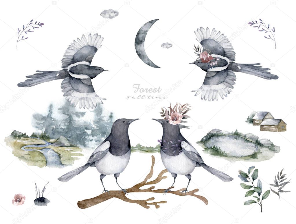 Set of black isolated silhouettes of birds magpie . illustration