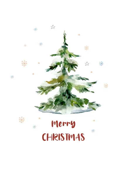 Groen Blauw Kerst Sparren Sparren Bomen Geïsoleerd Witte Achtergrond — Stockfoto