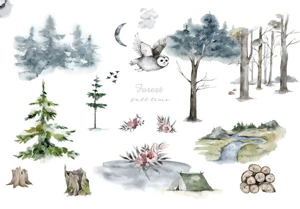 Σκανδιναβικό Watercolor φυσικό σύνολο από πράσινα δέντρα, σημύδα και πεύκο, τέφρα βουνού, δάσος. Συλλογή χειμερινής σοδειάς που απομονώνεται σε λευκό φόντο. Σύνολο δασικών εκτάσεων — Φωτογραφία Αρχείου