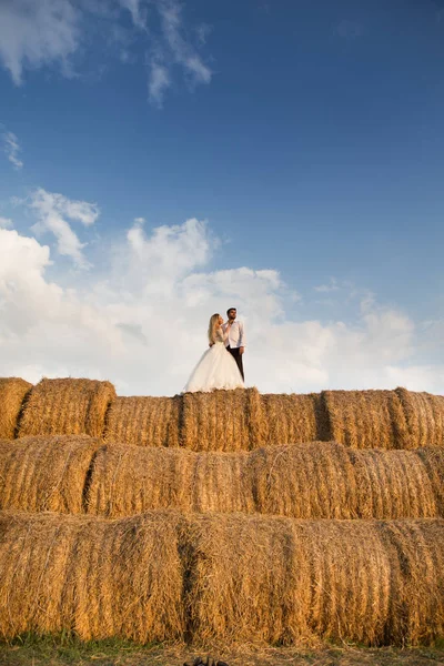 在天空的背景上, 新郎新娘坐在一个大干草堆上 图库照片