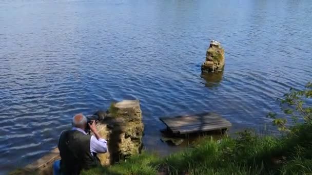 Старший Фотограф Дикой Природе Фотографирует Водоплавающих Птиц Старой Каменной Кладке — стоковое видео