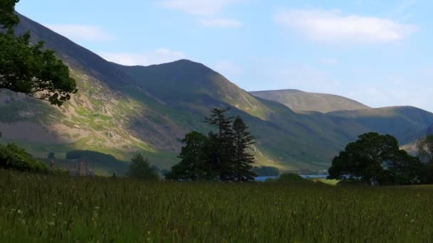 Lake District Cenário Primavera Dia Verão Culms Grama Caules Balançando — Vídeo de Stock