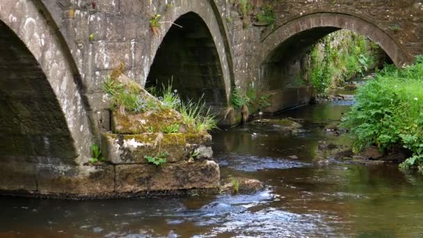 Old English Architecture Arch Stone Bridge River Tributary Confluence Water — Stock Video