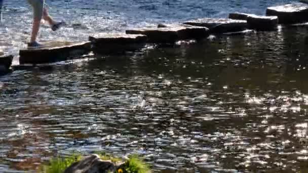 Legs Two Mothers Children Crossing Fast River Walking Stepping Stones — Stock Video