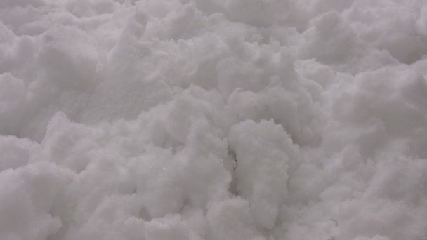 光秃秃的手从雪后出现雪崩 被困在雪地里的人还活着 需要帮助 雪花飘落在小雪中 — 图库视频影像