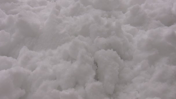 Mit Bloßer Hand Aus Dem Schnee Nach Einem Lawinenabgang Der — Stockvideo