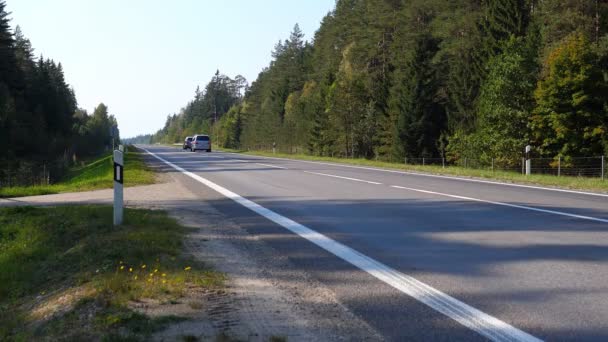 在欧洲国家的森林道路上 两辆乘用车正在驶离摄像机 — 图库视频影像