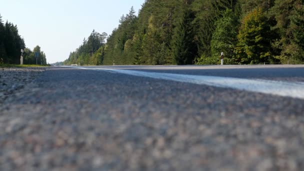 Ground Level View Asphalt Road Forest Sunny Day Car Front — Stock Video