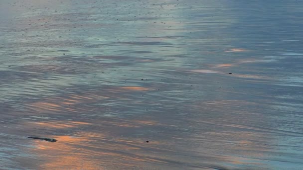 Azul Laranja Pôr Sol Colorido Fundo Praia Molhada Onda Lenta — Vídeo de Stock