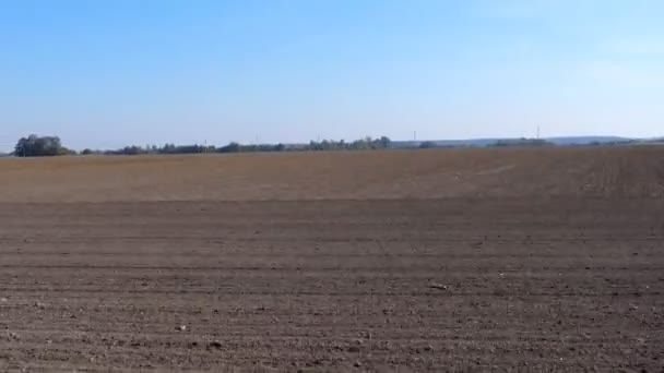 Ploughed Plowed Soil Growing Crop Field Moving Car Window — Stock Video