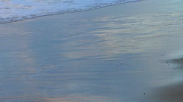 Blauwe Kleur Natte Plat Zandstrand Bij Zonsondergang Gewassen Door Golven — Stockvideo