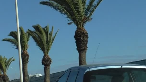 Langzaam Rijden Een Tropisch Resort Palm Tree Tops Straatlantaarn Lantaarnpalen — Stockvideo