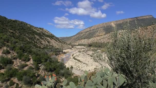 Panoramatický Pohled Vysoké Úhlu Téměř Suché Marocké Horské Řeky Oued — Stock video