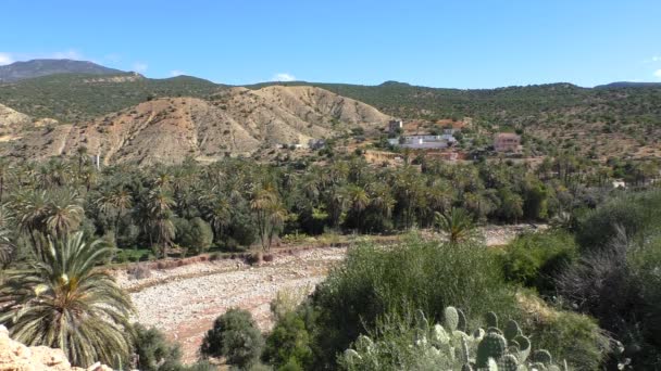 乾燥川 Oued Tamraght ヤシの木立 Tamzargot モロッコで遠くの村の高角度の風光明媚なビュー — ストック動画