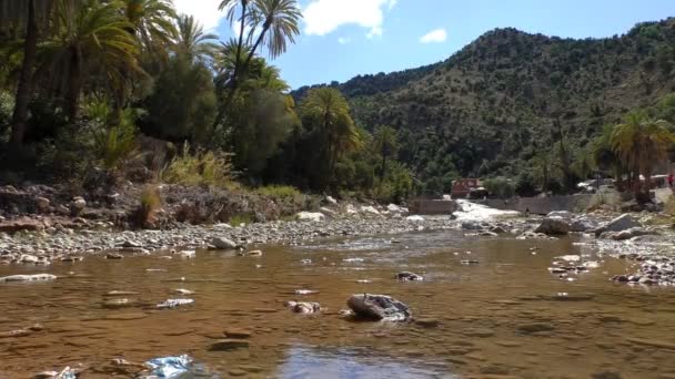 Marokkanischer Fluss Oued Tamraght Dorf Tamzargot Oder Tamzergourte Marokko — Stockvideo